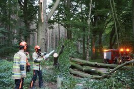 Grote boom blokkeert fietspad tussen Bussum en Huizen