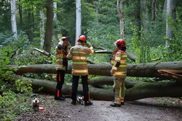 Grote boom blokkeert fietspad tussen Bussum en Huizen