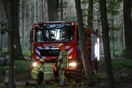 Grote boom blokkeert fietspad tussen Bussum en Huizen
