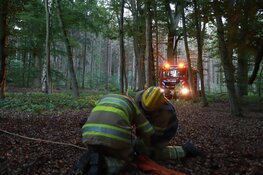 Grote boom blokkeert fietspad tussen Bussum en Huizen
