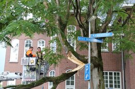 Grote arm breekt uit boom in Bussum