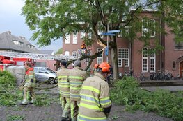 Grote arm breekt uit boom in Bussum