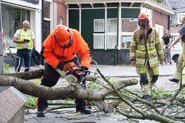 Grote arm breekt uit boom in Bussum