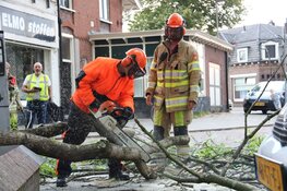 Grote arm breekt uit boom in Bussum