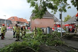 Grote arm breekt uit boom in Bussum