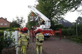 Gevaarlijk hangende tak door brandweer verwijderd