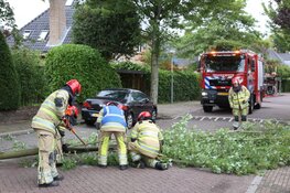 Gevaarlijk hangende tak door brandweer verwijderd