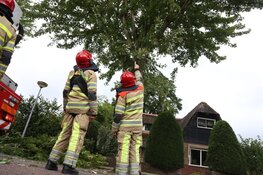 Gevaarlijk hangende tak door brandweer verwijderd