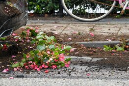 Ravage na ongeluk in Loosdrecht