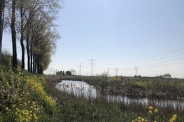 Werkzaamheden in Waterlandtak-West (natuurproject Diemerscheg) nabij Muiden
