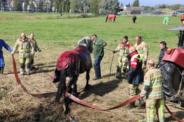 Brandweer redt paard uit diepe sloot in Nederhorst den Berg