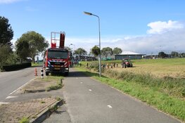 Brandweer redt paard uit diepe sloot in Nederhorst den Berg