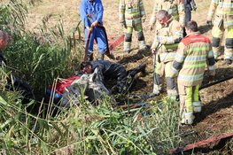 Brandweer redt paard uit diepe sloot in Nederhorst den Berg