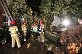 Grote boom belandt op meerdere auto's in Naarden