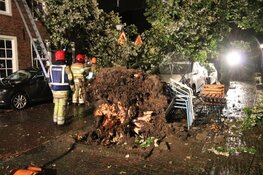 Grote boom belandt op meerdere auto's in Naarden