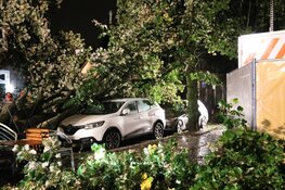 Grote boom belandt op meerdere auto's in Naarden