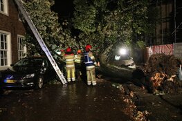 Grote boom belandt op meerdere auto's in Naarden