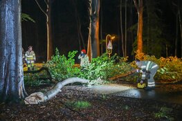 Meters lange tak breekt af in Hilversum